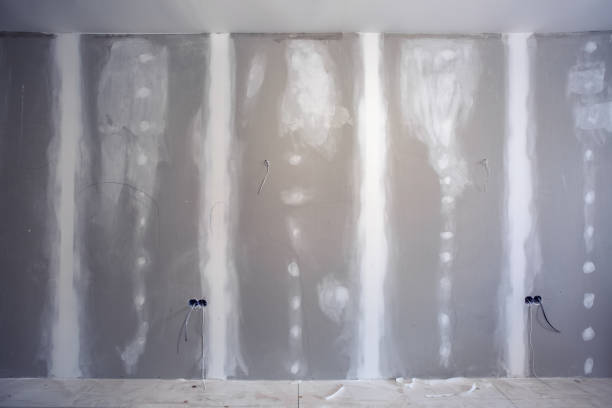 Best Drywall Installation  in Pacifi, CA